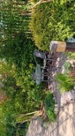 view-images